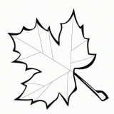 Šablony podzimních listů řezaných z papíru